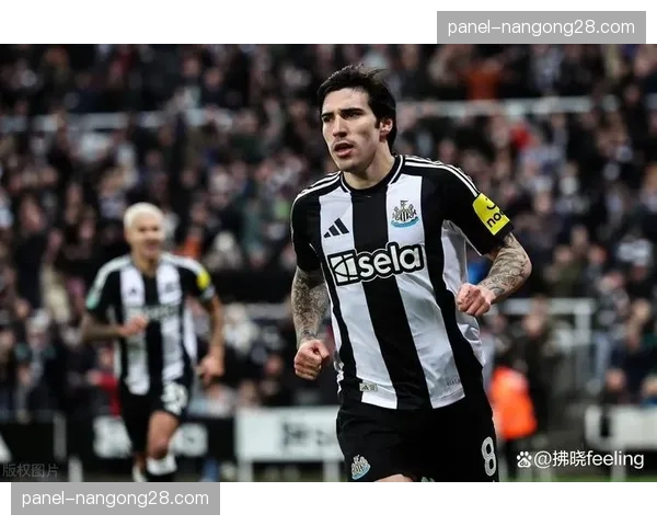 从英冠回归意甲，托纳利在纽卡斯尔停赛期坚持个人训练