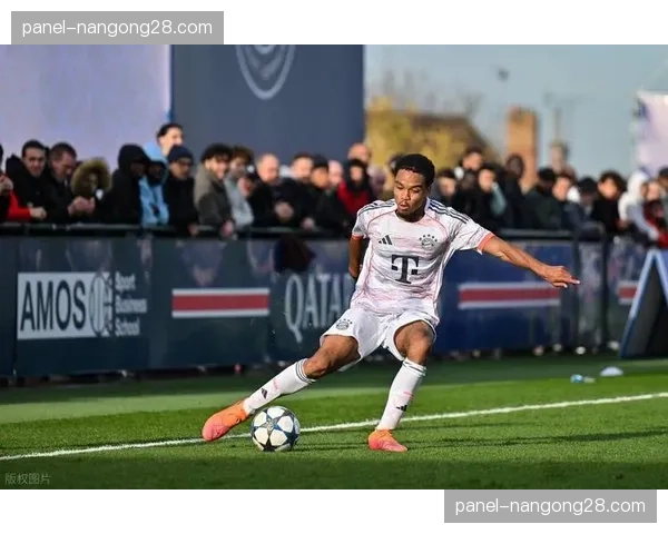 数据模型分析：拜仁晋级决赛概率达68%，巴黎需防客场进球